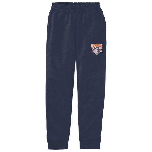 AMSA - Youth Core Fleece Jogger Thumbnail